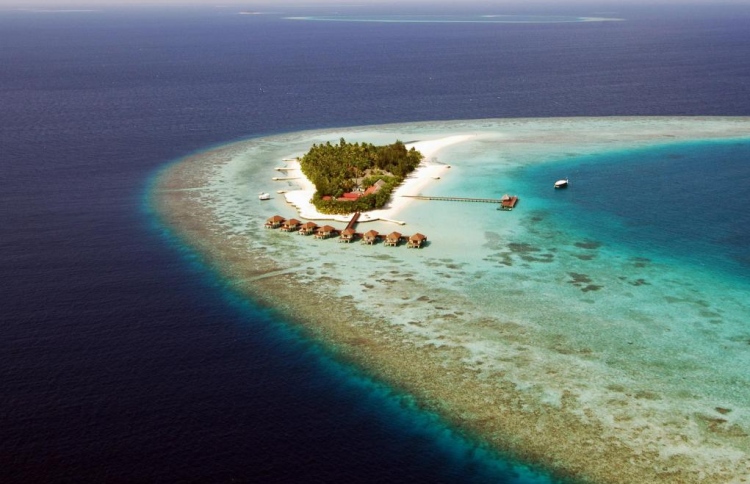 ސްނޯކްލިން އަށް ދިޔަ މީހަކު މަރުވެއްޖެ