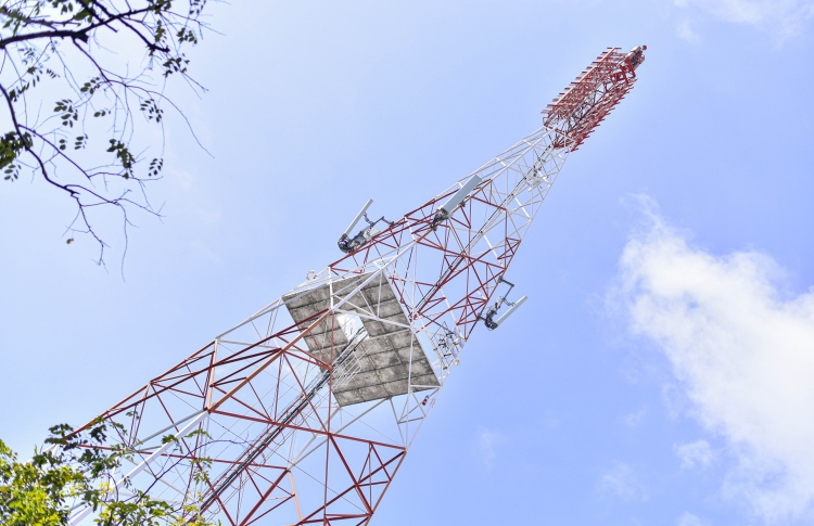 42 އަހަރު ވީ ޓީވީ އެންޓަނާ ނަގަނީ