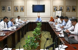 Minister of Economic Development Fayyaz Ismail discusses the minimum wage report with the parliamentary Committee on Economic Affairs. PHOTO: PARLIAMENT 