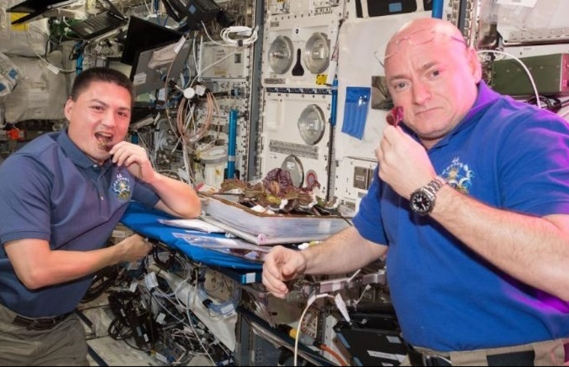 ޖައްވުގައި ހެއްދި ލެޓިއުސް ކާން ރައްކާތެރި