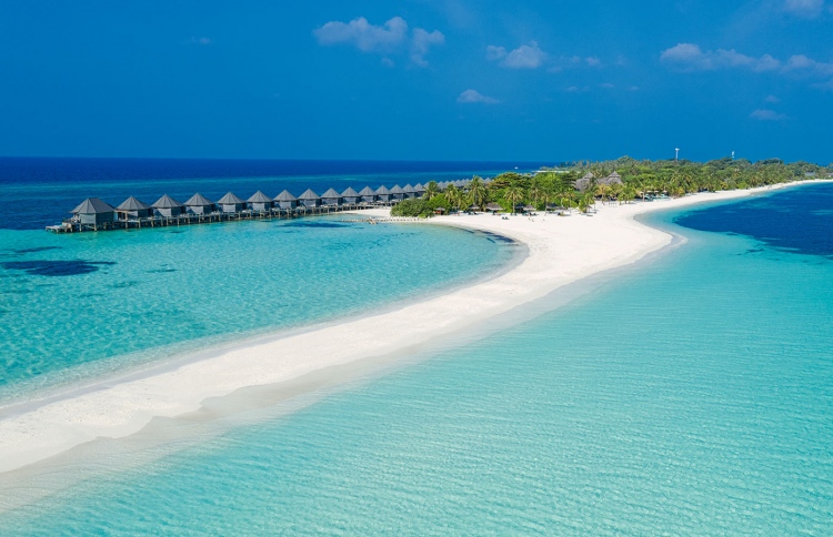 ކޮވިޑާ ހެދި ވަކިކުރިމީހުން އިޔާދަކުރަން އިލްތިމާސްކޮށްފި