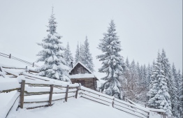 Cozy wooden hut high in the snowy mountains. Great pine trees on the background. Abandoned kolyba shepherd. Cloudy day. Carpathian mountains, Ukraine, Europe. PHOTO: EDITION