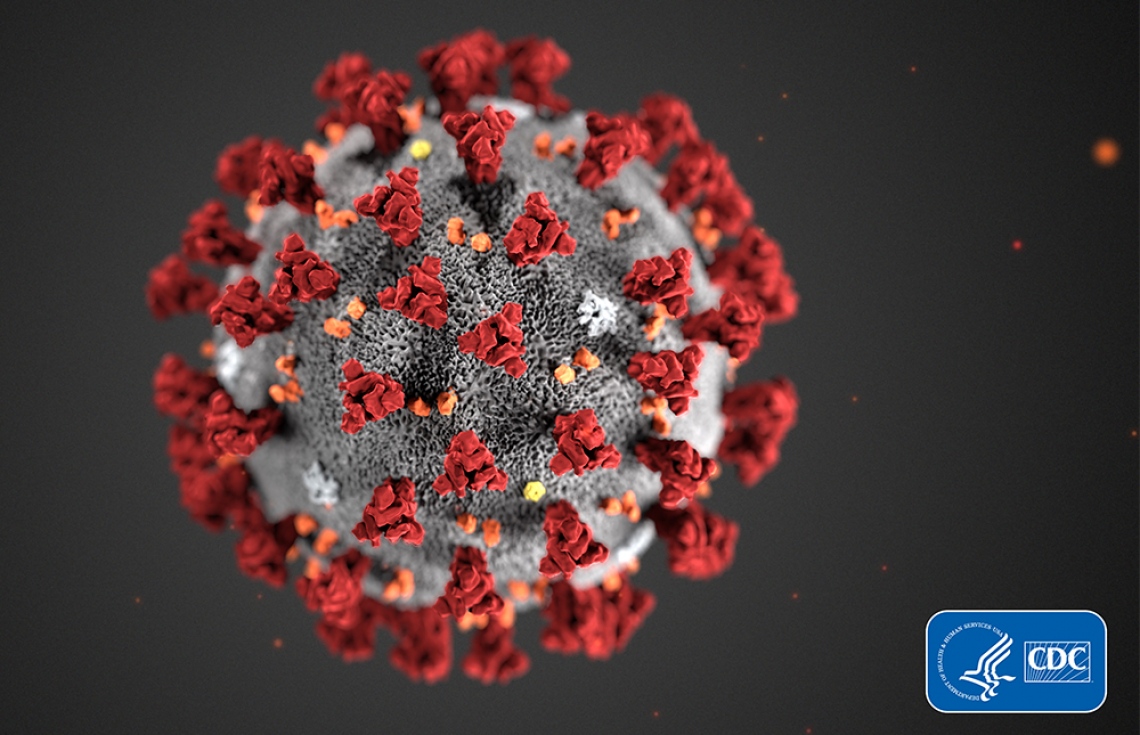 ކޮރޯނާވައިރަހާ ގުޅުވޭ މާ ކުރީގެ ޚިޔާލީ ވާހަކަތަކެއް