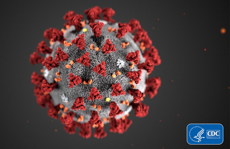 ކޮރޯނާވައިރަހާ ގުޅުވޭ މާ ކުރީގެ ޚިޔާލީ ވާހަކަތަކެއް