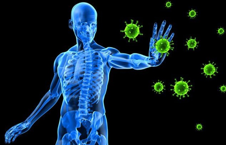 ދިފާއީ ނިޒާމަށް މުހިއްމު ފަސް މާއްދާއެއް