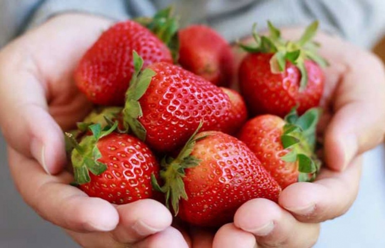 ސްޓްރޯބެރީން ހަނދާން ގަދަކޮށްދޭ