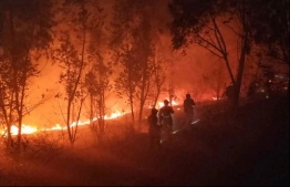 Firefighters battle a forest blaze in Xichang in China's southwestern Sichuan province early on Tuesday. Eighteen firefighters and one forestry guide died while fighting a huge forest fire in southwestern China, the local government said. PHOTO: AFP