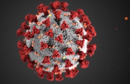 Alissa Eckert and Dan Higgins, illustrators with the Centers for Disease Control and Prevention, were asked to create a “beauty shot” of the coronavirus, to bring it to the public’s attention.Credit...Alissa Eckert, Dan Higgins/CDC