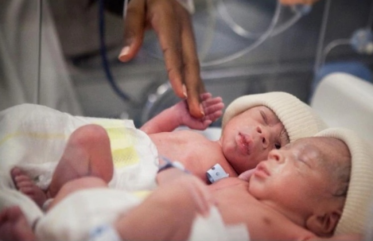 އެއްމާބަނޑު ދެބެއިންގެ ނަމަކަށް ކޮވިޑާއި ކޮރޯނާ