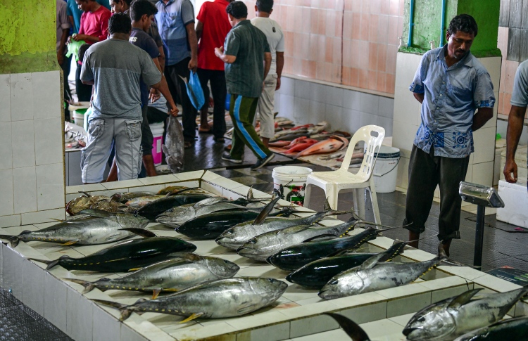 މަސްމާރުކޭޓުގެ އެއްބަސްވުން އުވާލަން ނިންމަނީ