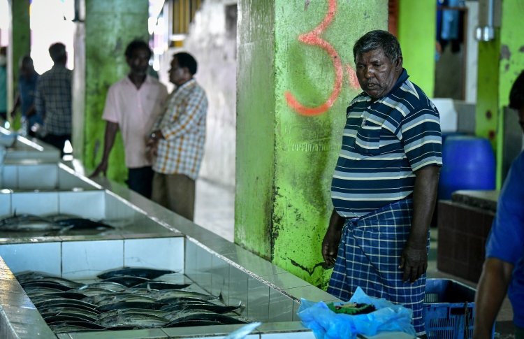 މަސްވެރިން މަސް ބާނަނީ އެކަމަކު އަގެއް ނެތް