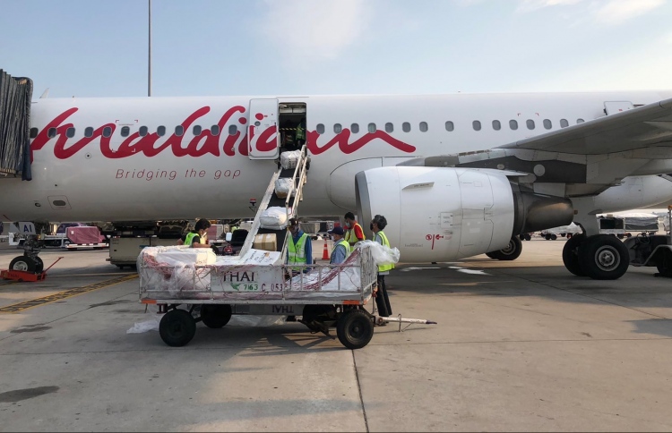 މޯލްޑިވިއަން އިން 11 ޓަނުގެ މުދާ ރާއްޖެ ގެނެސްފި