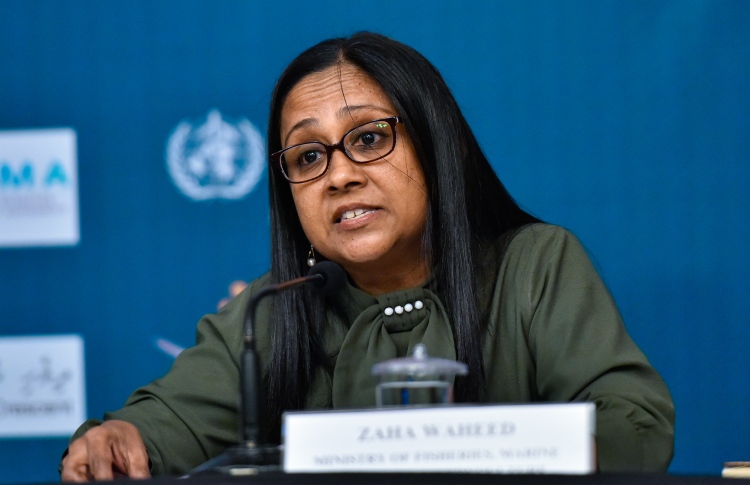 ޒަހާގެ މައްސަލައިގެ ބަހުސް މިރޭ