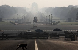 A monkey crosses the road near India's Presidential Palace during a 14-hour long curfew to limit the spreading of coronavirus disease in the country, New Delhi, India, March 22, 2020. PHOTO: REUTERS