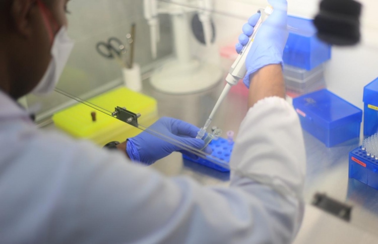 ރާއްޖޭގެ ހާލަތު ނިސްބަތުން ރަނގަޅު: މަބްރޫކް