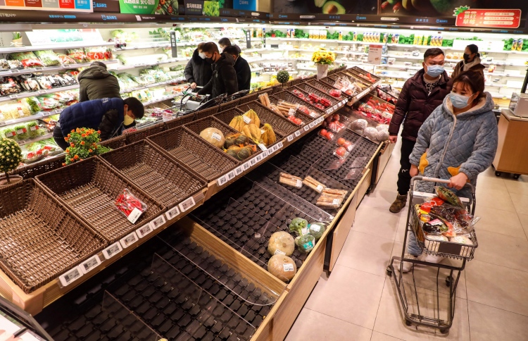 ވޫހާންގައި ހުރި ދިވެއްސެއް: މުހިންމީ ކެތްތެރިކަން