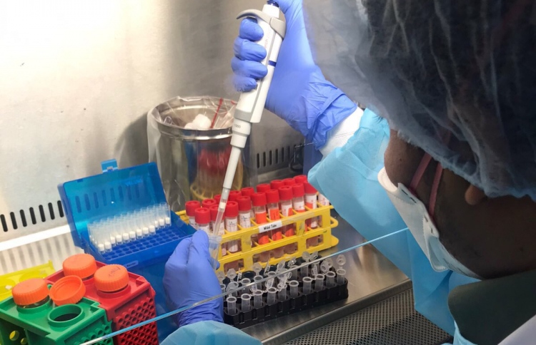 އިތުރު 12 މީހަކު ކޮވިޑް-19 އަށް ޕޮޒިޓިވްވެއްޖެ