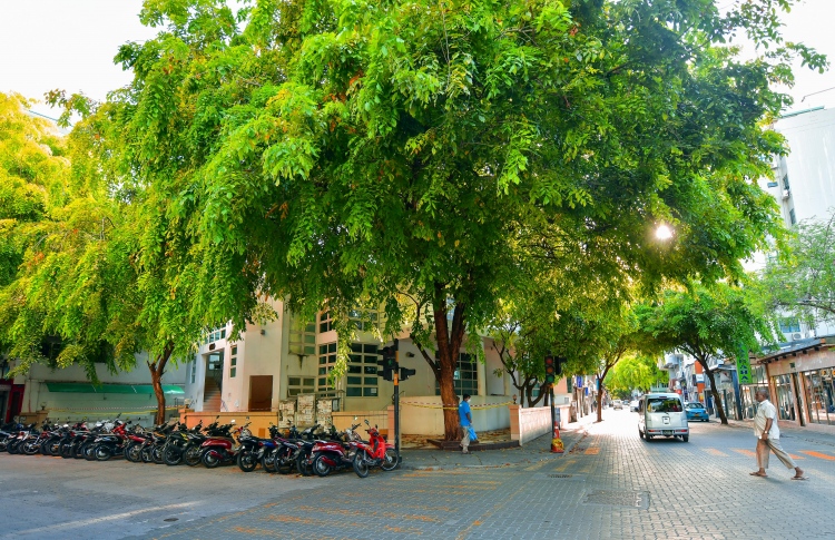 ރެންޑަމް ސާމްޕަލަކުން މިސްކިތެއްގެ އިމާމު ޕޮޒިޓިވްވެއްޖެ