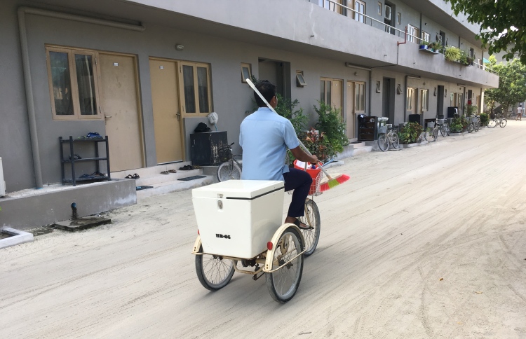 ރިސޯޓުތައް ހުޅުވުމުގެކުރިން ސްޓާފުން ތަމްރީންކުރަންޖެހޭނެ