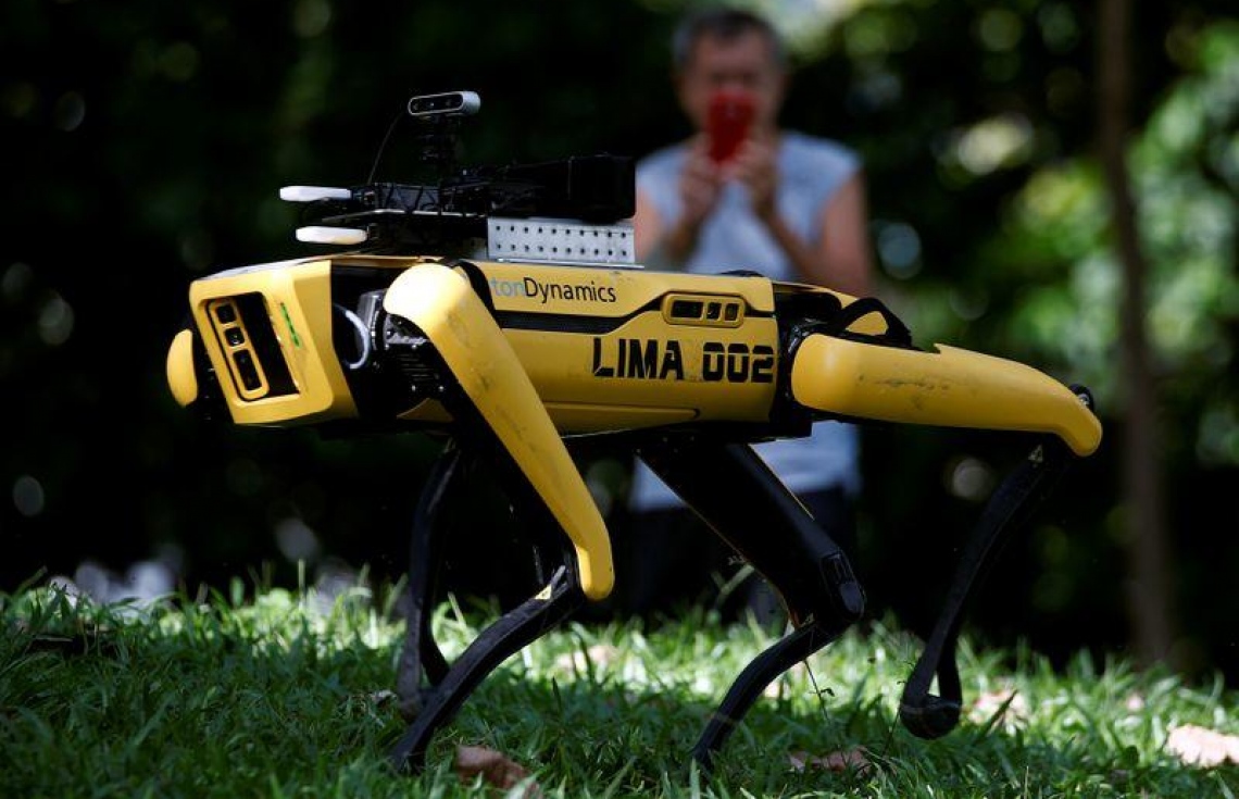 ސިންގަޕޫރްގެ ޕާކެއްގައި ރޮބޮޓް ކުއްތާ ޓެސްޓްކުރަނީ