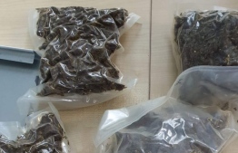 Drugs found from an unclaimed package at Customs. PHOTO: CUSTOMS