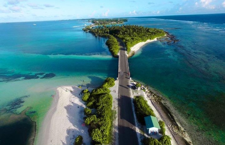 ފޭދޫގެ މާރާމާރީ: 15 އަހަރުގެ ކުއްޖަކު ހައްޔަރުކޮށްފި