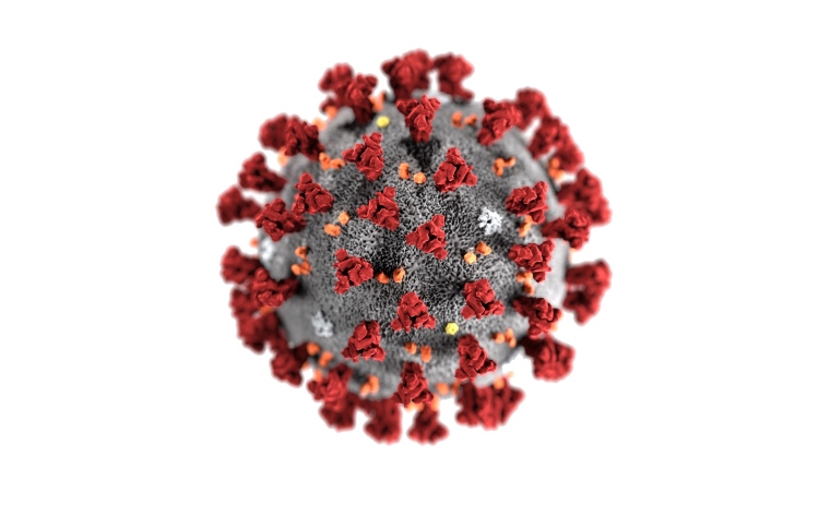 ކޮވިޑް-19 އާ އެކު ފަރިތަވި އާ ބަސްތައް