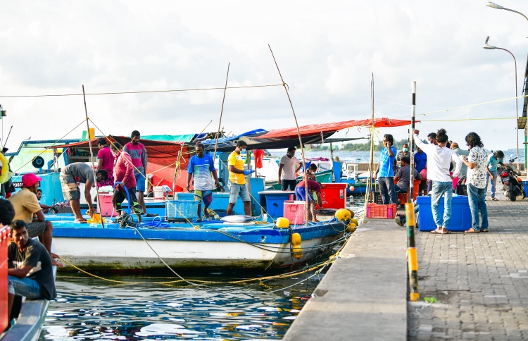ނޯތު ހާބަރު މަސްމާރުކޭޓު ސަރަހައްދާ ހިސާބަށް ބޮޑުކޮށްފި