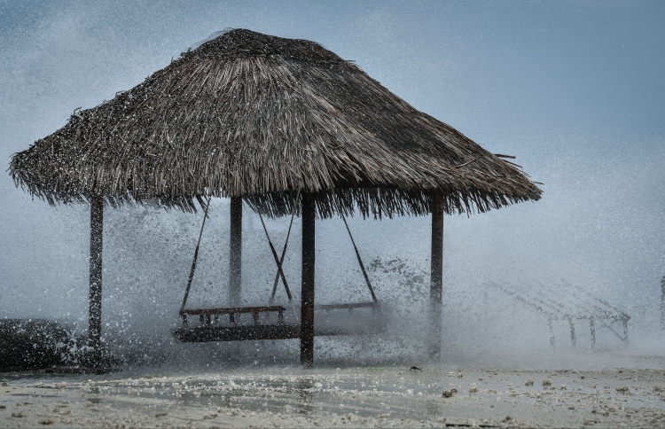 ޅ. ން އައްޑު އަށް ޔެލޯ އެލާޓް ނެރެފި