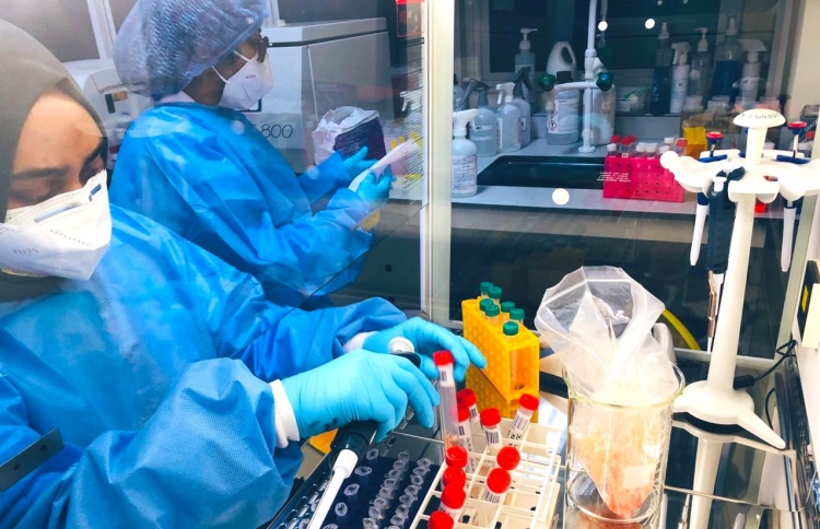 ރިސޯޓަކަށް ހަދާ ރަށަކުން 112 މީހުން ޕޮޒިޓިވްވެއްޖެ