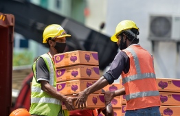 Maldives Ports Limited (MPL) employees photographed working amidst the COVID-19 pandemic. PHOTO: AHMED AWSHAN ILYAS / MIHAARU