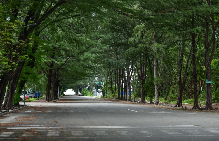 އެޗްޑީސީން ބިންތަކުގެ އެއްބަސްވުން ބާތިލްކުރީ ގޯސްކޮށް