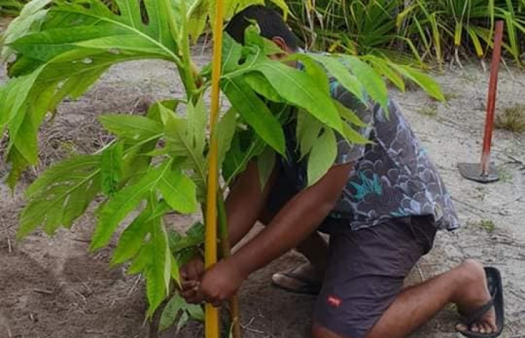 އައްޑޫގެ ހުސްބިންތަކާ ގުޅޭ ގޮތުން ކައުންސިލްގެ އިންޒާރެއް