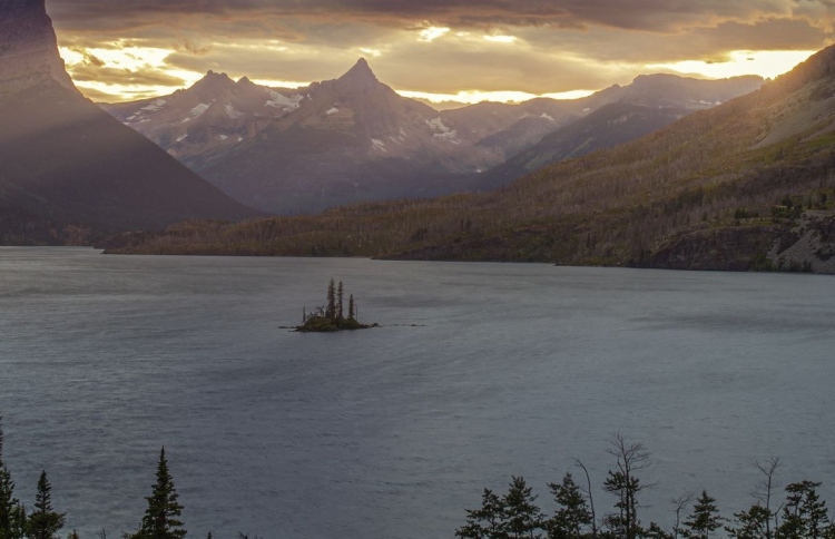 އެންޑްރޮއިޑް ގެންގުޅޭ މީހުން މި ފޮޓޯ އަށް ސަމާލުވާތި!