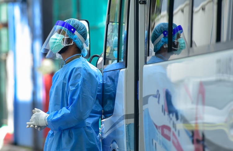 ހޯއްގޮވާ ކެއްސުމަށް ތިން ކުއްޖަކު ޕޮޒިޓިވް ވެއްޖެ