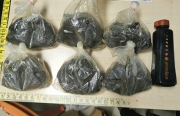 Packaged cannabis confiscated during the counter-narcotic operation. PHOTO: MALDIVES POLICE SERVICE / MIHAARU
