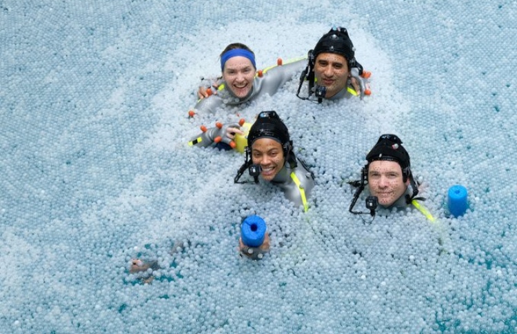 "އެވެޓާ" ސީކްއެލްތަކުގެ ޝޫޓިން އަލުން ފަށައިފި