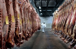 (FILES) In this file picture taken on July 29, 2005, Rodolfo Gomez inspects beef split halves in the freezer at the Yaguane Meat Processing Plant Cooperative in the province of Buenos Aires, Argentina. PHOTO: DANIEL GARCIA / AFP