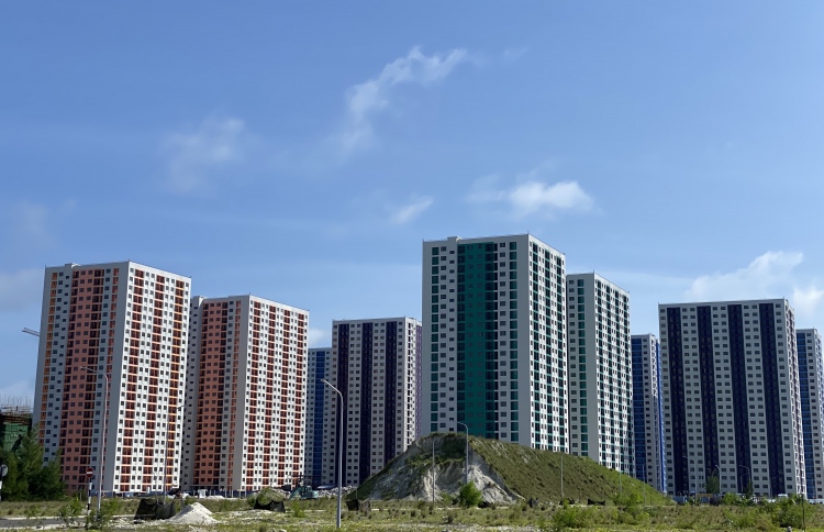 ޕީޕީއެމް/ޕީއެންސީއަށް ހިޔާ ފްލެޓްތައް ދައްކާލަން އެދެފި