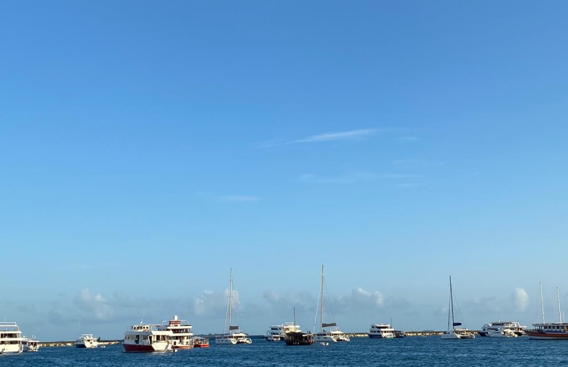 ކޭސް ލޮގް ހޯދާކަށް އެންއައިސީއަކުން ނޭދޭ: ޕޮލިސް