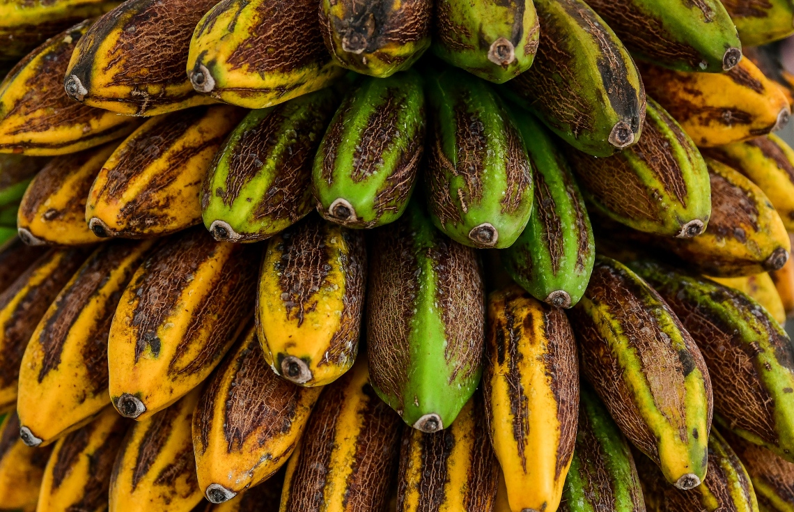 މާލެ: ޖުލައި 2، 2020: ލޯކަލް މާރުކޭޓުގައި ވިއްކަން އެލުވާފައި ހުރި ދޮންކެޔޮ ގަނޑެއް: ވިޔަފާރި ދަށް ކަމަށާއި މުދާ ނުވިކި އުކާލަން ޖެހޭކަމަށް ވިޔަފާރިވެރިން ބުނޭ--. ފޮޓޯ: ނިޝާން އަލީ/މިހާރު