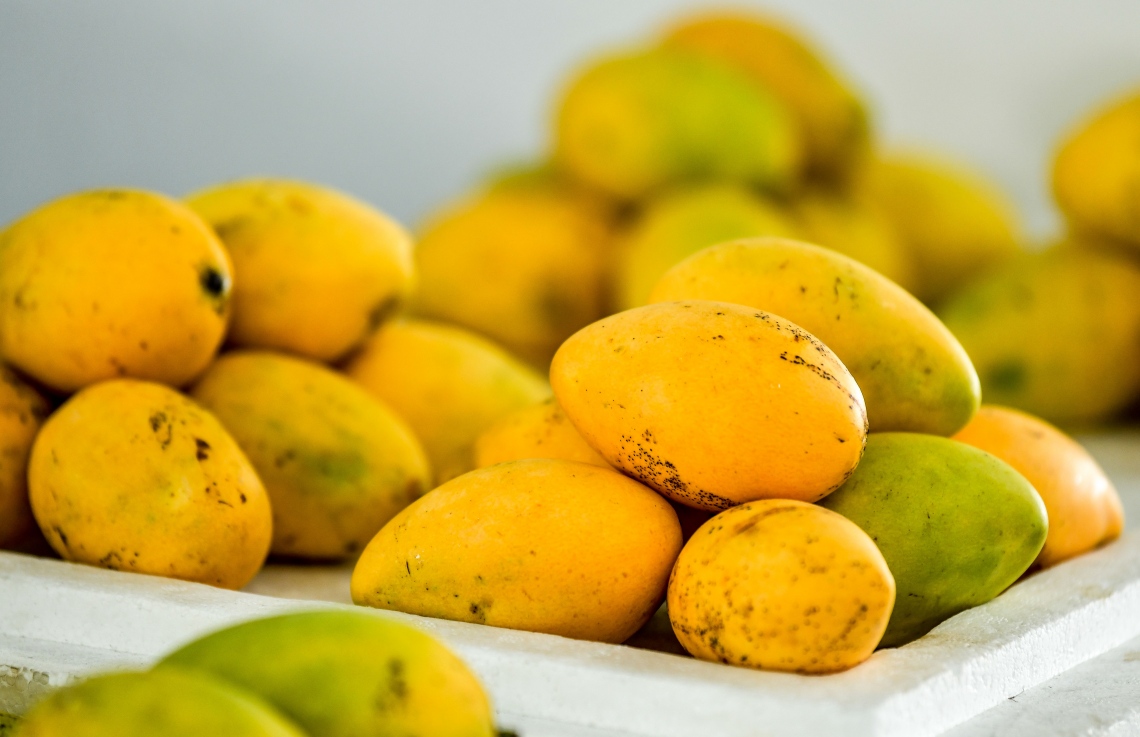 މާލެ: ޖުލައި 2، 2020: ލޯކަލް މާރުކޭޓުގައި ވިއްކަން ބަހައްޓާފައި ހުރި ދޮން އަނބުތަކެއް، ވިޔަފާރި ދަށް ކަމަށާއި މުދާ ނުވިކި އުކާލަން ޖެހޭކަމަށް ވިޔަފާރިވެރިން ބުނޭ--. ފޮޓޯ: ނިޝާން އަލީ/މިހާރު