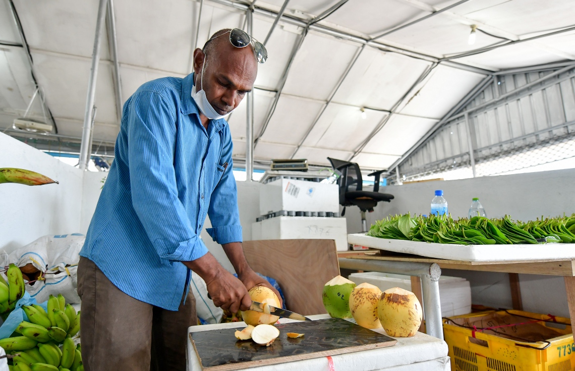 މާލެ: ޖުލައި 2، 2020: ލޯކަލް މާރުކޭޓުގައި މިއަދު މީހަކު ކުރުނބާ ކަނޑަނީ، ވިޔަފާރި ދަށް ކަމަށާއި މުދާ ނުވިކި އުކާލަން ޖެހޭކަމަށް ވިޔަފާރިވެރިން ބުނޭ--. ފޮޓޯ: ނިޝާން އަލީ/މިހާރު