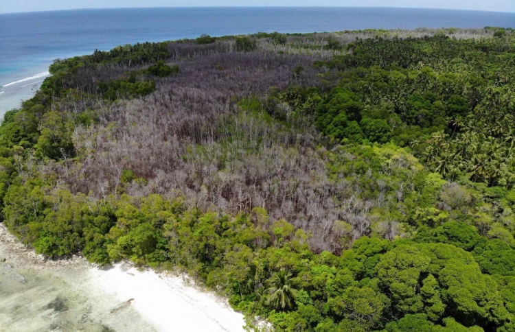 ރާއްޖޭގެ އެންމެ ބޮޑު ކަނޑޫފާ މަރުވަނީ!