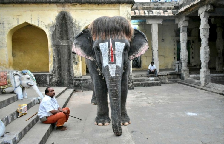 މިއީ މާ ލޯބި އިސްތަށިގަނޑެއް އޮންނަ އެތެއް