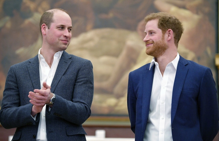 ޑަޔާނާގެ ފަންޑް ވިލިއަމާއި ހެރީ އަށް ބައިކޮށްލައިފި