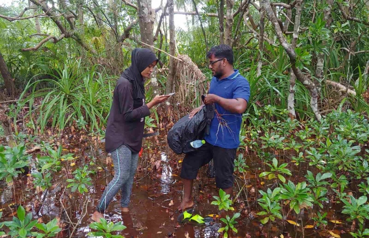 ރާއްޖޭގެ ކަނޑޫފާތަކަށް މިވަނީ ކިހިނެއް؟