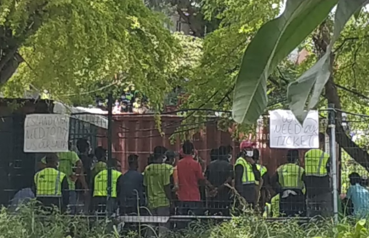 އައިލެންޑް އެކްސްޕާޓްގެ މީހުން ފުރަން ފަށައިފި