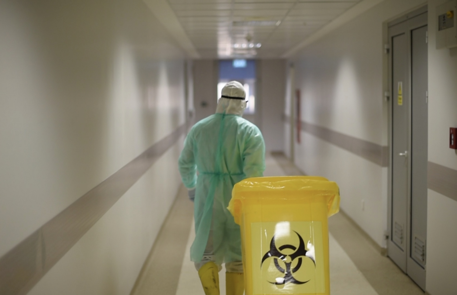 ޓްރީ ޓޮޕް ހޮސްޕިޓަލް ސާފުކުރުމުގައި--ފޮޓޯ: ޓްރީ ޓޮޕް