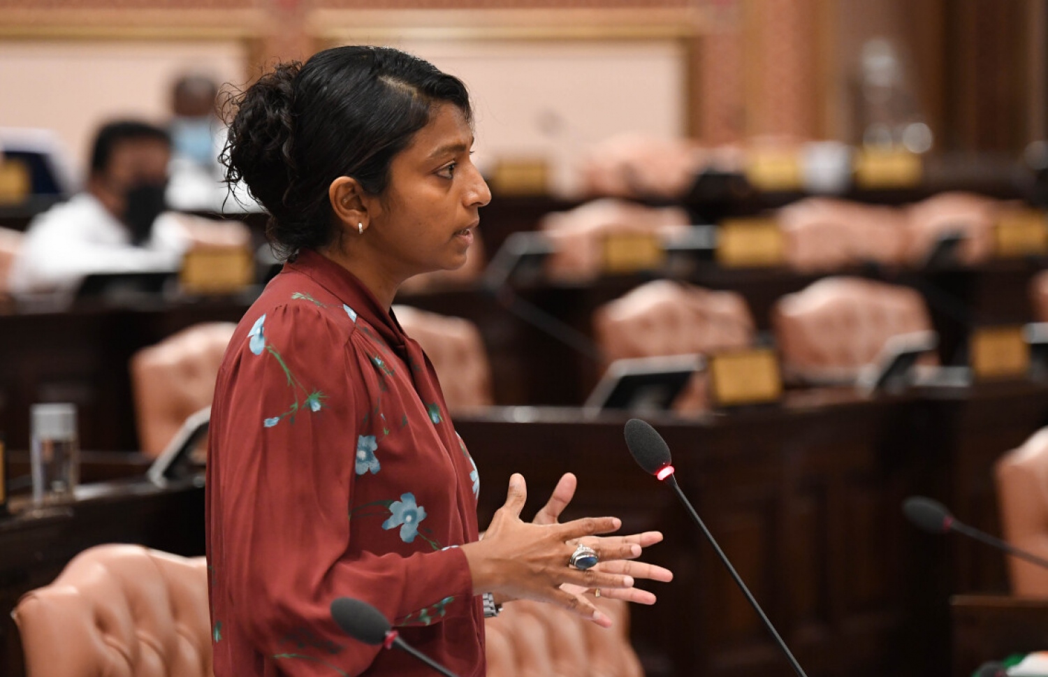 މަޖިލީހުގެ ޖަލްސާއެއްގައި މެމްބަރު އީވާ ވާހަކަ ދައްކަވަނީ: އޭނާ ވިދާޅުވީ އައިންތުގެ ކާރަށް ހަމަލާ ދިން މައްސަލަ އެންއައިސީން ބަލަން ޖެހޭ ކަމަށް-- ފޮޓޯ: މަޖިލިސް